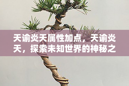 天谕炎天属性加点，天谕炎天，探索未知世界的神秘之旅