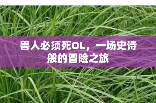 兽人必须死OL，一场史诗般的冒险之旅