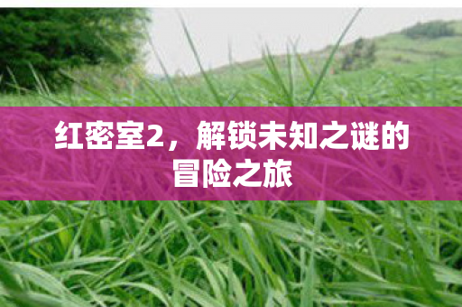 红密室2，解锁未知之谜的冒险之旅