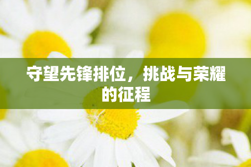 守望先锋排位，挑战与荣耀的征程