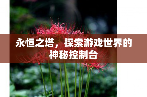 永恒之塔，探索游戏世界的神秘控制台