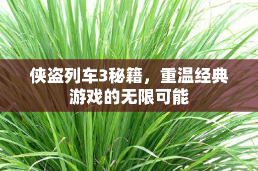 侠盗列车3秘籍，重温经典游戏的无限可能