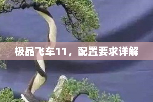 极品飞车11，配置要求详解