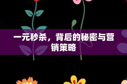 一元秒杀,背后的秘密与营销策略 一元秒杀,背后的秘密与营销策略