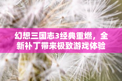 幻想三国志3经典重燃，全新补丁带来极致游戏体验