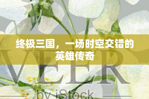终极三国，一场时空交错的英雄传奇
