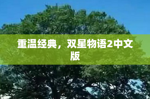 重温经典，双星物语2中文版