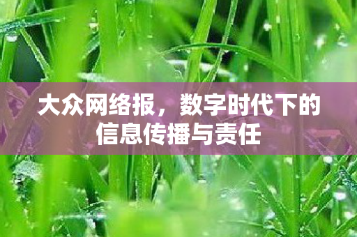 大众网络报,数字时代下的信息传播与责任 大众网络报,数字时代下的信息传播与责任
