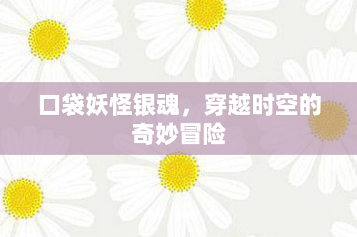 口袋妖怪银魂，穿越时空的奇妙冒险