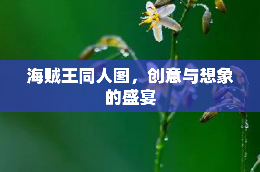 海贼王同人图，创意与想象的盛宴