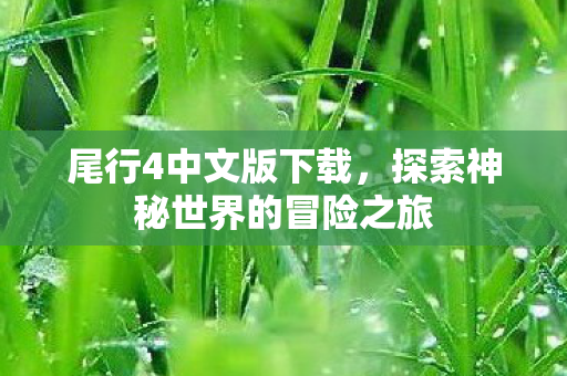 尾行4中文版下载，探索神秘世界的冒险之旅