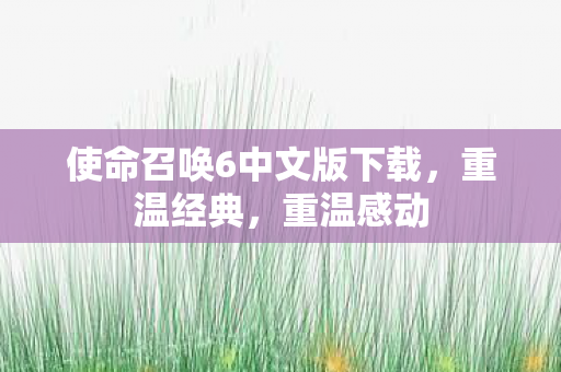 使命召唤6中文版下载，重温经典，重温感动