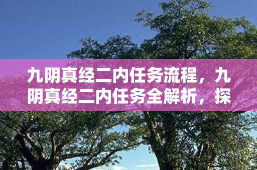 九阴真经二内任务流程,九阴真经二内任务全解析,探寻古老秘法的奇妙之旅 九阴真经二内任务流程,九阴真经二内任务全解析,探寻古老秘法的奇妙之旅