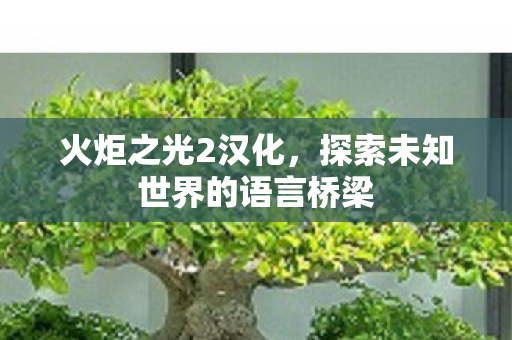 火炬之光2汉化，探索未知世界的语言桥梁