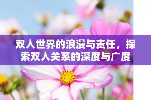 双人世界的浪漫与责任，探索双人关系的深度与广度