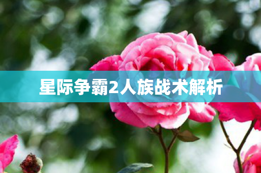 星际争霸2人族战术解析