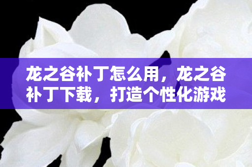 龙之谷补丁怎么用，龙之谷补丁下载，打造个性化游戏体验