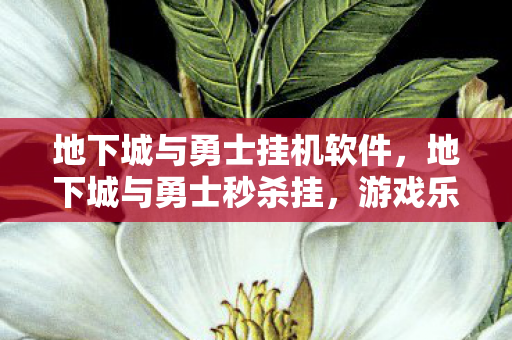 地下城与勇士挂机软件,地下城与勇士秒杀挂,游戏乐趣的扭曲与反思 地下城与勇士挂机软件,地下城与勇士秒杀挂,游戏乐趣的扭曲与反思