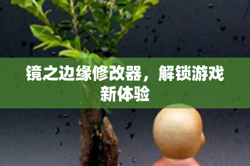 镜之边缘修改器，解锁游戏新体验