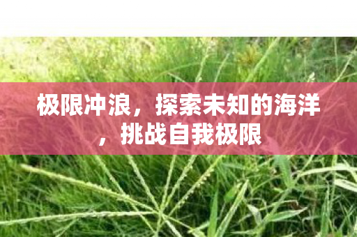 极限冲浪，探索未知的海洋，挑战自我极限