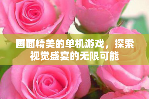 画面精美的单机游戏，探索视觉盛宴的无限可能