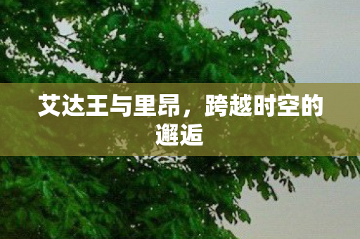 艾达王与里昂，跨越时空的邂逅