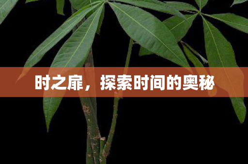 时之扉，探索时间的奥秘