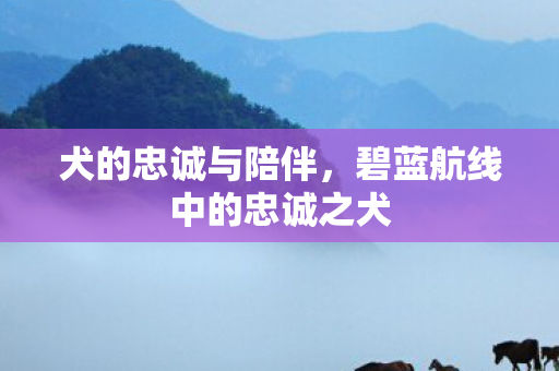 犬的忠诚与陪伴，碧蓝航线中的忠诚之犬