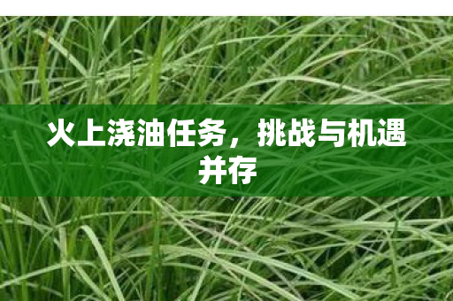 火上浇油任务，挑战与机遇并存