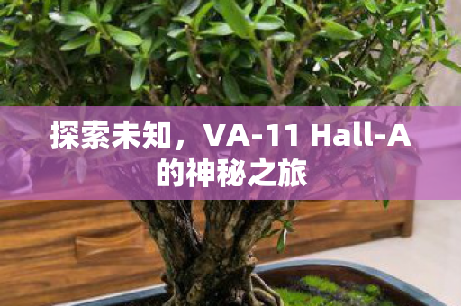 探索未知，VA-11 Hall-A的神秘之旅