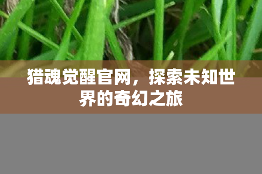 猎魂觉醒官网，探索未知世界的奇幻之旅