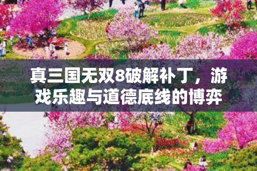 真三国无双8破解补丁，游戏乐趣与道德底线的博弈