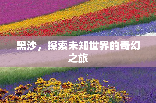 黑沙，探索未知世界的奇幻之旅