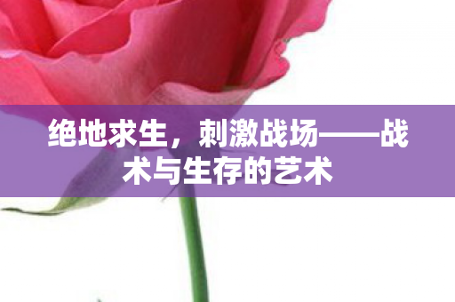 绝地求生，刺激战场——战术与生存的艺术