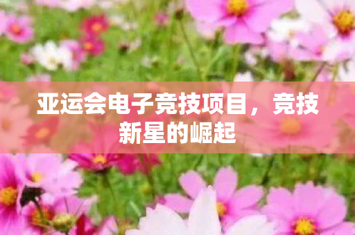 亚运会电子竞技项目，竞技新星的崛起