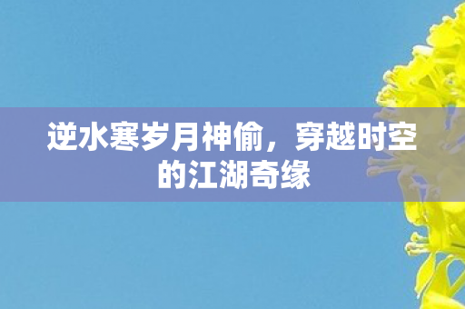 逆水寒岁月神偷，穿越时空的江湖奇缘