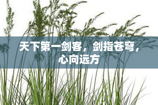 天下第一剑客，剑指苍穹，心向远方