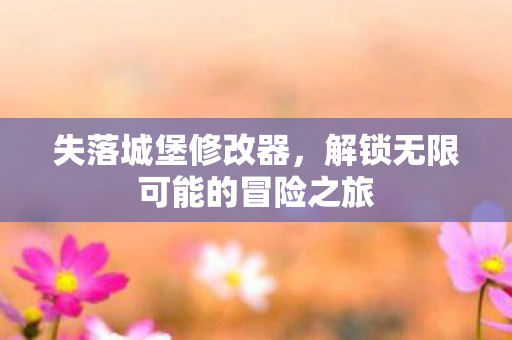 失落城堡修改器，解锁无限可能的冒险之旅