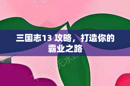 三国志13 攻略，打造你的霸业之路