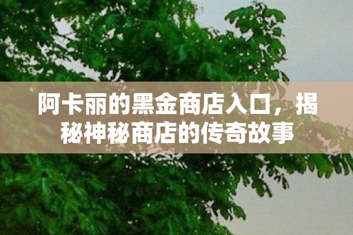 阿卡丽的黑金商店入口,揭秘神秘商店的传奇故事 阿卡丽的黑金商店入口,揭秘神秘商店的传奇故事
