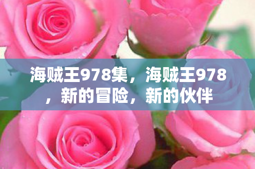 海贼王978集，海贼王978，新的冒险，新的伙伴