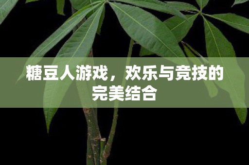 糖豆人游戏，欢乐与竞技的完美结合