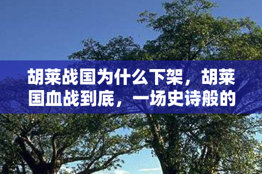 胡莱战国为什么下架,胡莱国血战到底,一场史诗般的战争史诗 胡莱战国为什么下架,胡莱国血战到底,一场史诗般的战争史诗