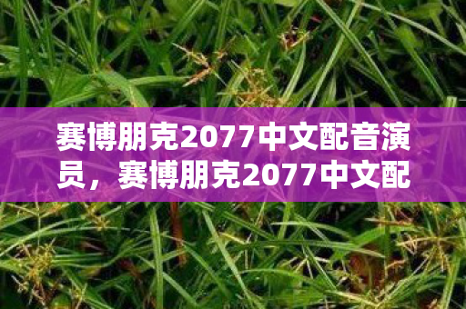 赛博朋克2077中文配音演员，赛博朋克2077中文配音，重塑未来世界的听觉体验