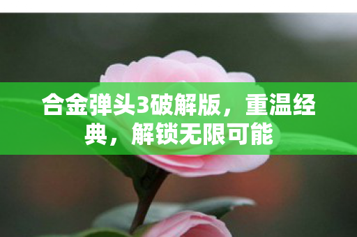 合金弹头3破解版，重温经典，解锁无限可能