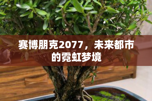赛博朋克2077，未来都市的霓虹梦境