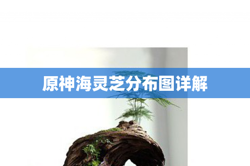 原神海灵芝分布图详解