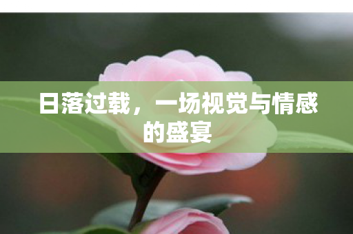 日落过载，一场视觉与情感的盛宴