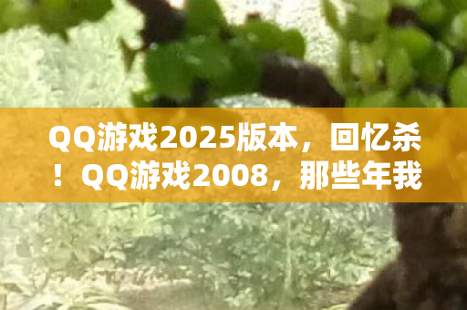 QQ游戏2025版本，回忆杀！QQ游戏2008，那些年我们一起斗地主的日子