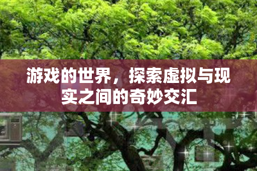 游戏的世界，探索虚拟与现实之间的奇妙交汇